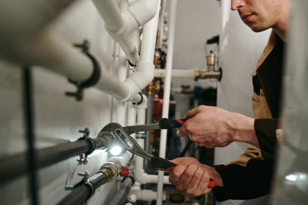 Best Plumbing Services Near Me  in Mirrormont, WA