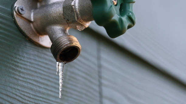 Best Drain Cleaning Services  in Mirrormont, WA