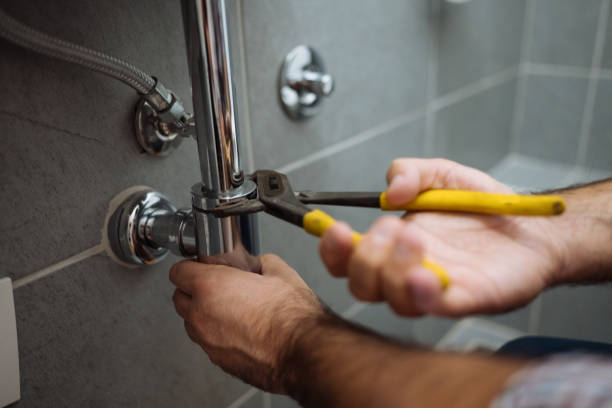 Best Leak Detection Services  in Mirrormont, WA