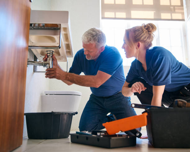 Best Faucet Repair  in Mirrormont, WA