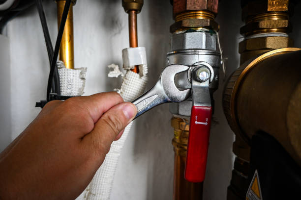 Best Water Heater Repair  in Mirrormont, WA